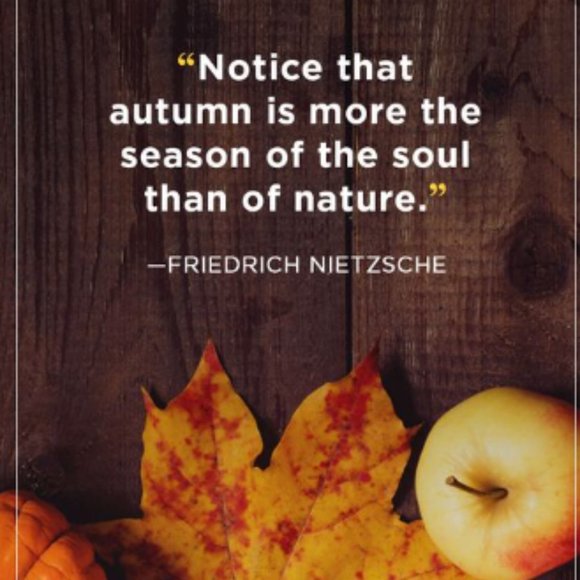 Pumpkin Spice  And Fuzzy Socks Softstyle® Fitted T-Shirt - Picture 2 of 3